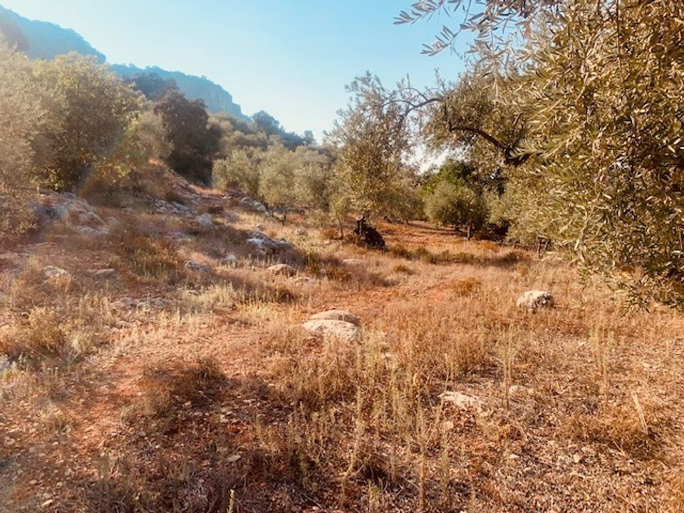 Helårsgrund i Comares, Malaga - foto 4